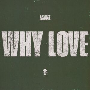Asake - WHY LOVE