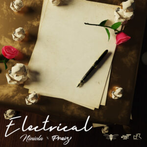 NINIOLA X PRAIZ - ELECTRICAL