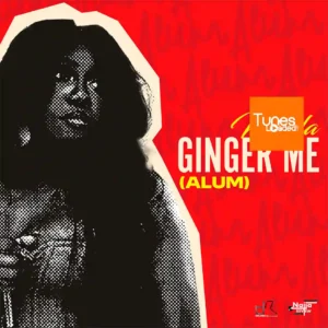 Niniola - Ginger Me (Alum)