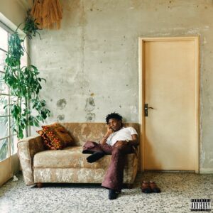 Bella Shmurda - Appraisal