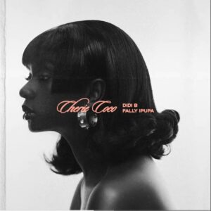 Didi B feat. Fally Ipupa - Cherie Coco