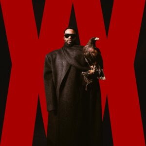 Fally Ipupa - Cinéma